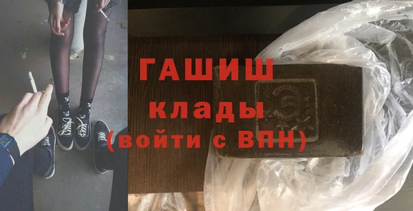 гидра Вязьма