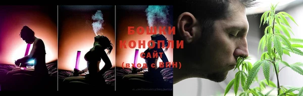 гидра Вязьма