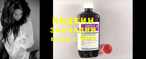 гидра Вязьма