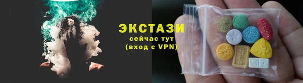 гидра Вязьма
