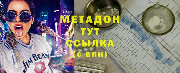 гидра Вязьма