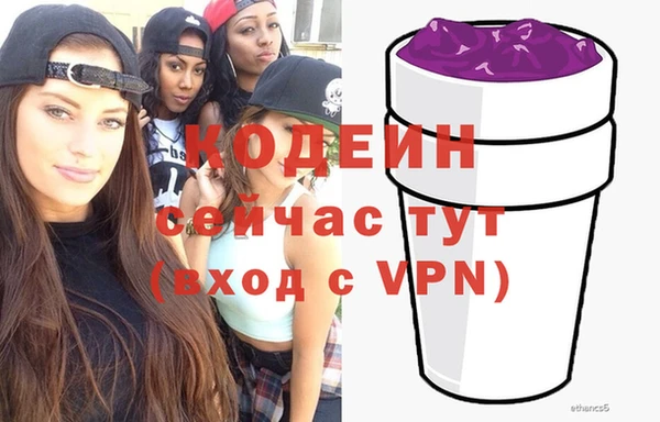 гидра Вязьма