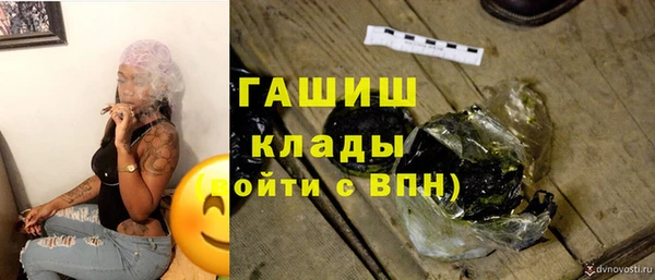 гидра Вязьма