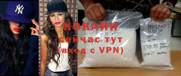 гидра Вязьма