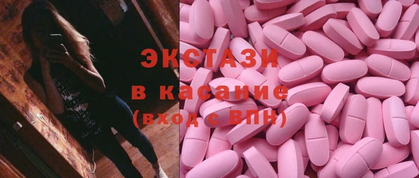 гидра Вязьма