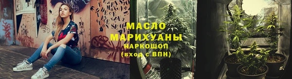 гидра Вязьма