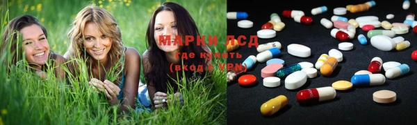 гидра Вязьма