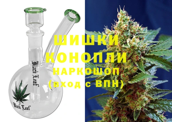 гидра Вязьма