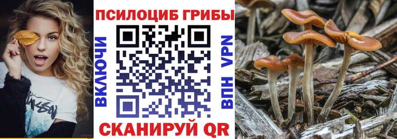 цены   Невинномысск  Псилоцибиновые грибы ЛСД 